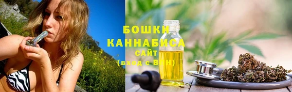метадон Богданович