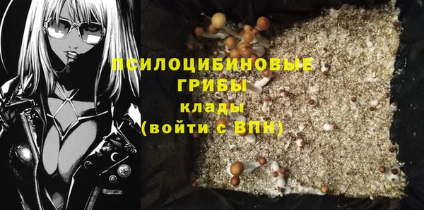 твердый Богородицк