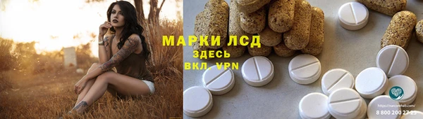 метадон Богданович