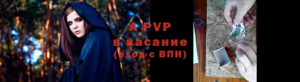 метадон Богданович