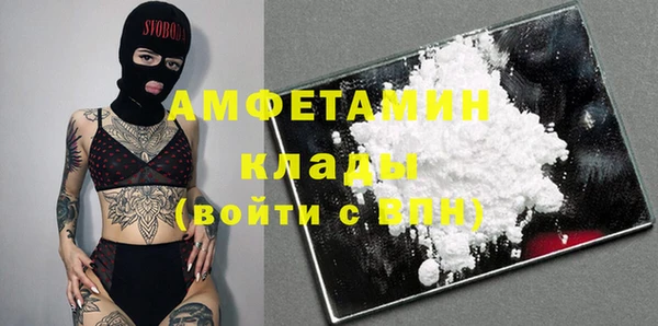 метадон Богданович
