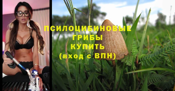 мяу мяу мука Богородск
