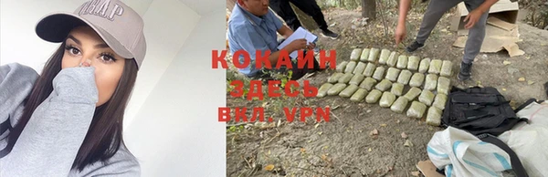 метадон Богданович