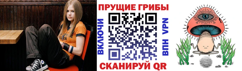 Псилоцибиновые грибы ЛСД  купить наркотик  Богородск 